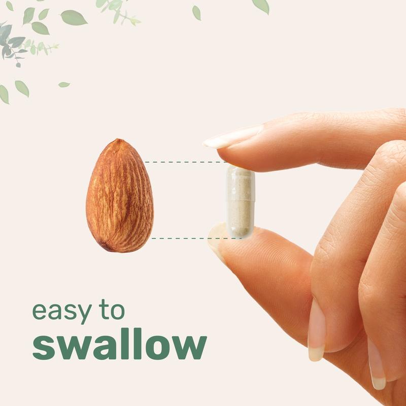 Advanced Multi-Collagen Renewal & Vitality Complex