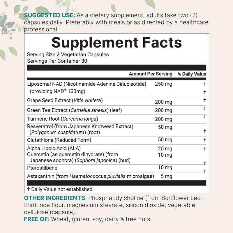 Micro Ingredients Liposomal NAD+®